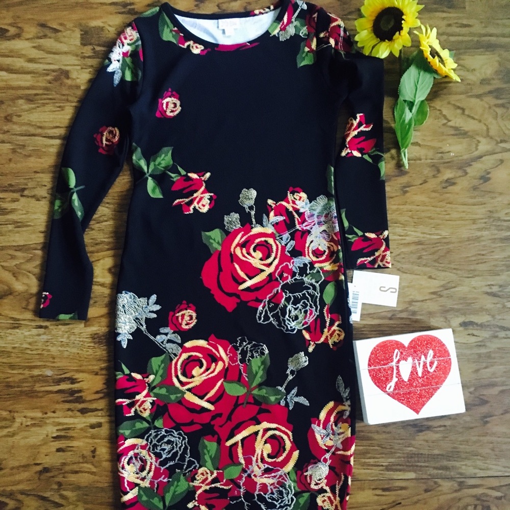 Lularoe UNICORN Debbie!